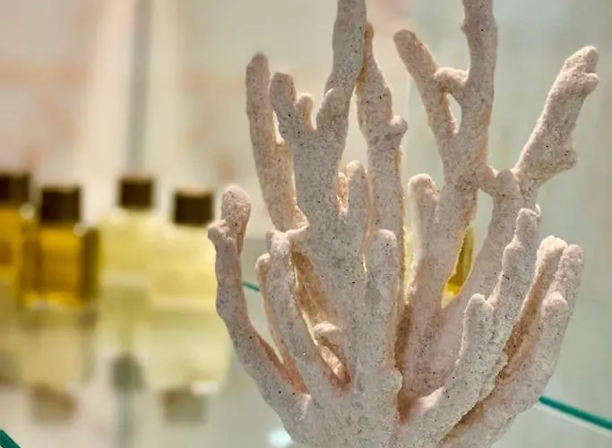 Sea Frontline Stylish House Fuengirola